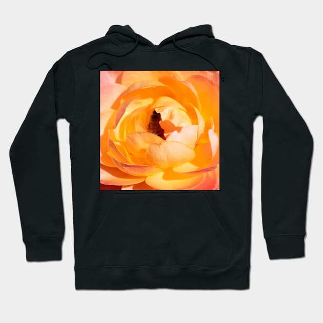 Stop & Smell The Roses Hoodie by Studio Sara Spohr